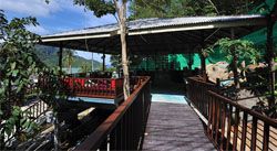 Phi Phi Arboreal Resort 